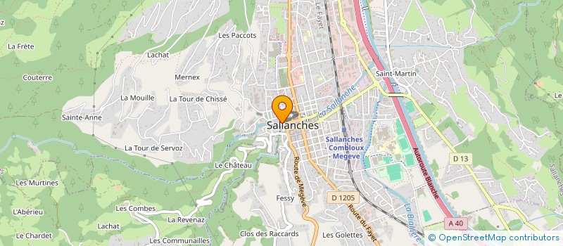localisation de l'entreprise MONSIEUR THEO ROMAN à SALLANCHES