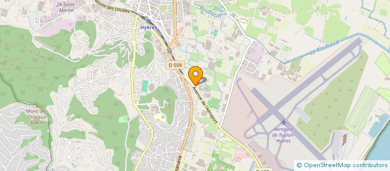 localisation de l'entreprise MONSIEUR THEO SALVATORE  HYERES