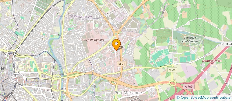 localisation de l'entreprise MONSIEUR THEO SANZ  MONTPELLIER