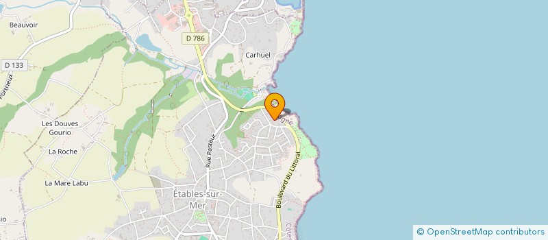 localisation de l'entreprise MONSIEUR THEO SAUDUBRAY  BINIC-ETABLES-SUR-MER