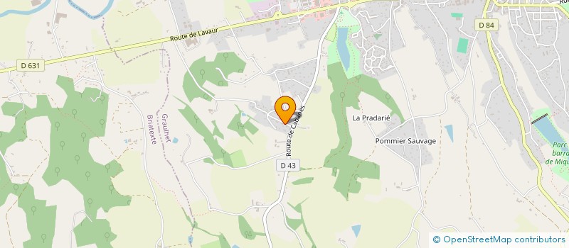 localisation de l'entreprise MONSIEUR THEO SEGUR  GRAULHET