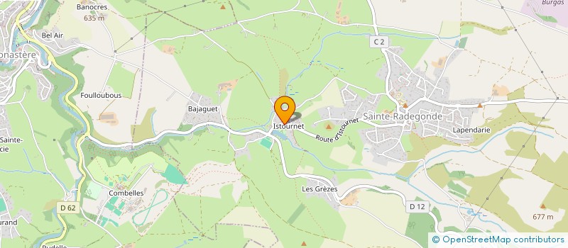 localisation de l'entreprise MONSIEUR THEO THOMAS  SAINTE-RADEGONDE