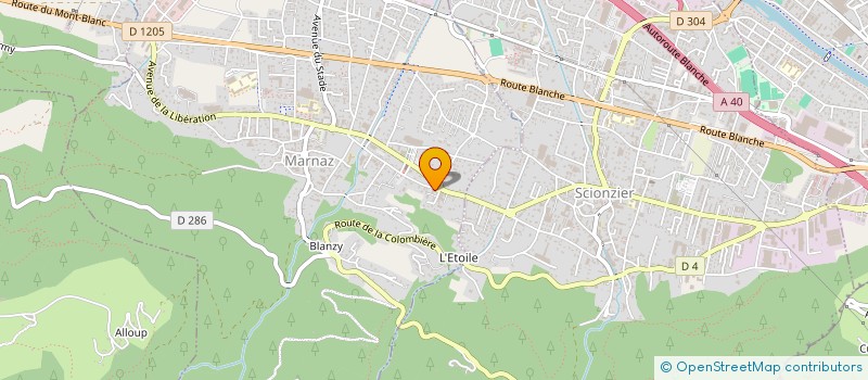 localisation de l'entreprise MONSIEUR THEO TRENTIN  MARNAZ