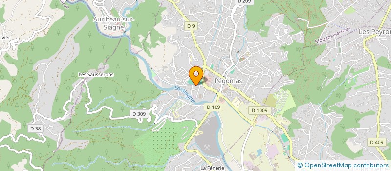 localisation de l'entreprise MONSIEUR THEO VALLENET  PEGOMAS