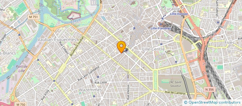 localisation de l'entreprise MONSIEUR THEO VANPOPERINGHE  LILLE