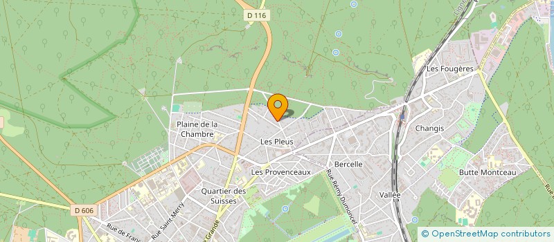 localisation de l'entreprise MONSIEUR THEO VERDIER  FONTAINEBLEAU