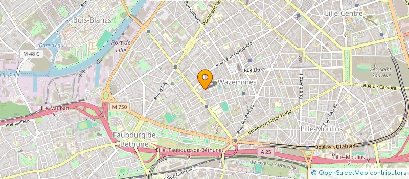 localisation de l'entreprise MONSIEUR THEO VIGNAIS à LILLE