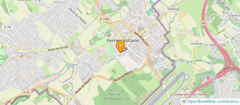 localisation de l'entreprise MONSIEUR THEO WSCHIANSKY à FERNEY-VOLTAIRE