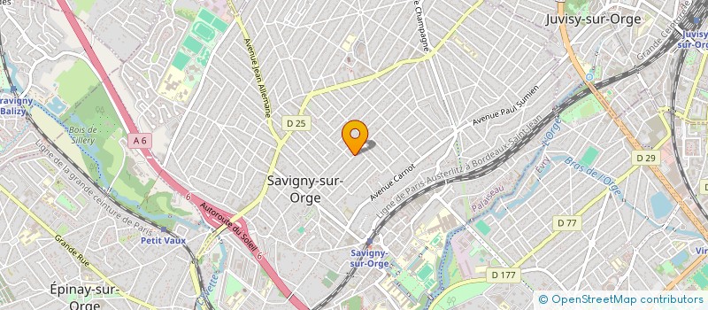 localisation de l'entreprise MONSIEUR THEOPHANE BOULONGNE à SAVIGNY-SUR-ORGE