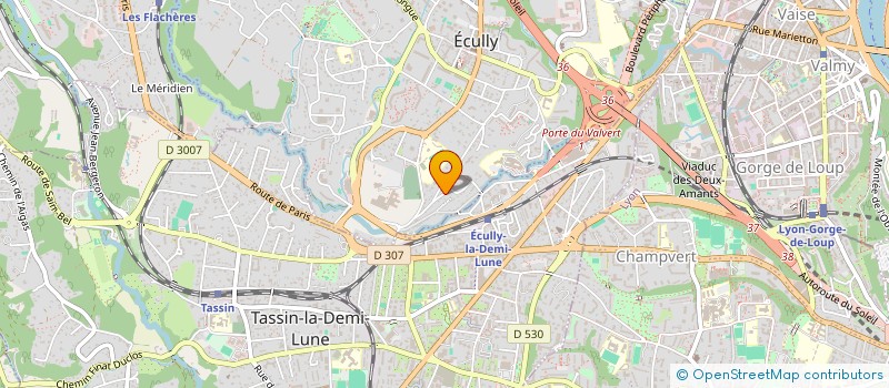 localisation de l'entreprise MONSIEUR THEOPHILE DE GAYFFIER  ECULLY