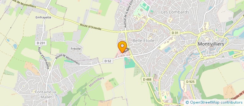 localisation de l'entreprise MONSIEUR THEOPHILE DUPLOUY  MONTIVILLIERS