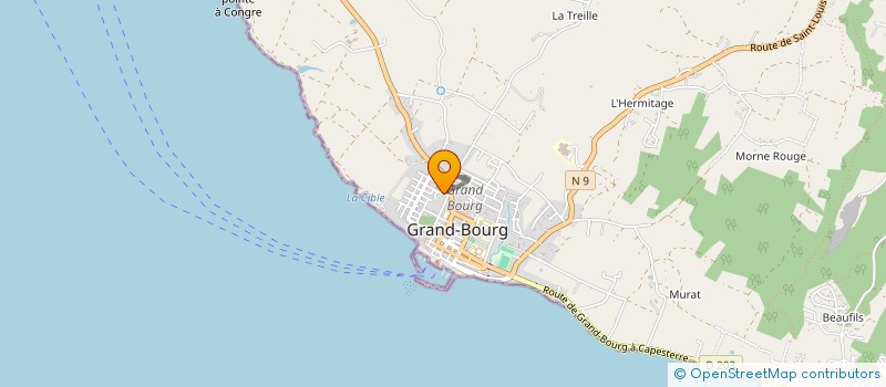 localisation de l'entreprise MONSIEUR THEOPHILE REGIS à GRAND BOURG