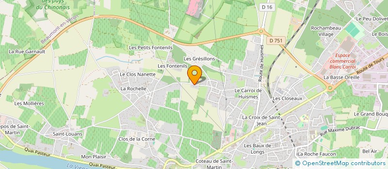 localisation de l'entreprise MONSIEUR THEOTIME ROBIN  CHINON