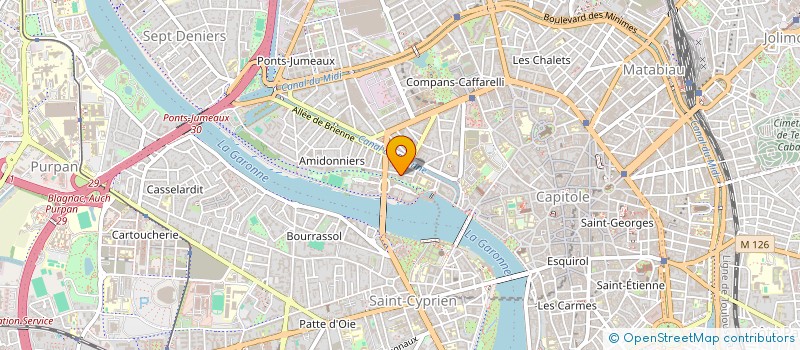 localisation de l'entreprise MONSIEUR THERRY CONTASSOT à TOULOUSE