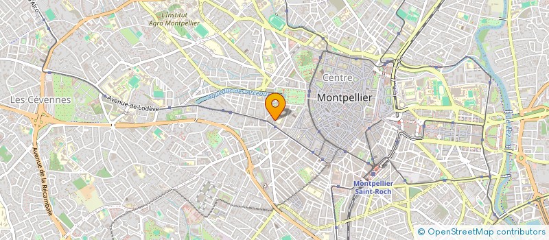 localisation de l'entreprise MONSIEUR THIAGO ALVES COSTA à MONTPELLIER