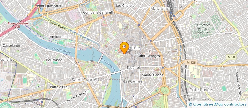 localisation de l'entreprise MONSIEUR THIAGO PEREIRA VIZIOLI à TOULOUSE