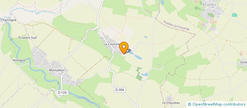 localisation de l'entreprise MONSIEUR THIBAUD GUERIN  CELLES-SUR-BELLE