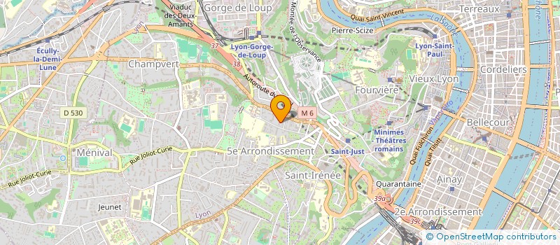 localisation de l'entreprise MONSIEUR THIBAUD LE SCOUL  SAINTE-FOY-LES-LYON