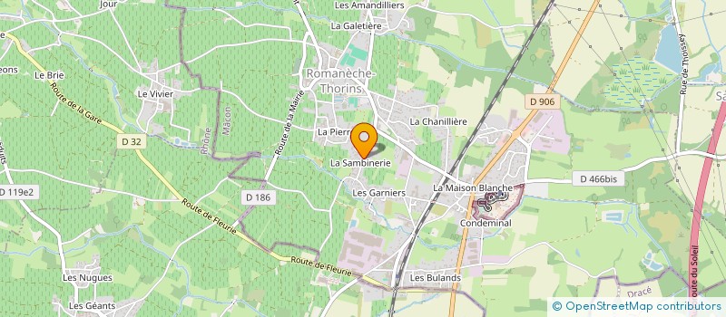 localisation de l'entreprise MONSIEUR THIBAUD LEMAITRE à ROMANECHE-THORINS
