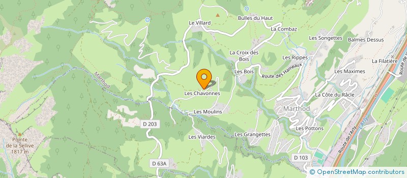 localisation de l'entreprise MONSIEUR THIBAULT ANDREVON  MARTHOD