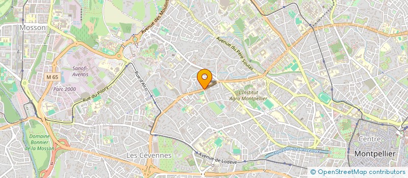 localisation de l'entreprise MONSIEUR THIBAULT COTTIN à MONTPELLIER