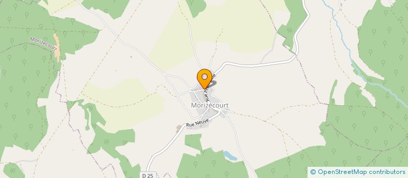 localisation de l'entreprise MONSIEUR THIBAULT DAELS  MORIZECOURT