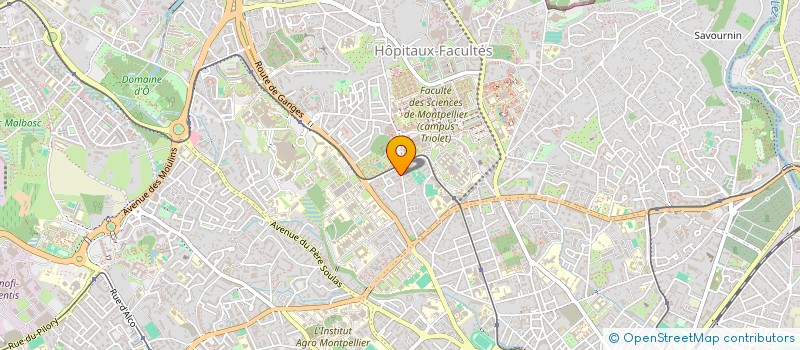 localisation de l'entreprise MONSIEUR THIBAULT LABEAUNE à MONTPELLIER