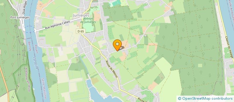 localisation de l'entreprise MONSIEUR THIBAULT MARTINS  JUMIEGES