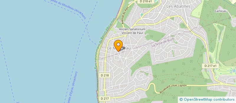 localisation de l'entreprise MONSIEUR THIBAULT MIGUET  ARCACHON