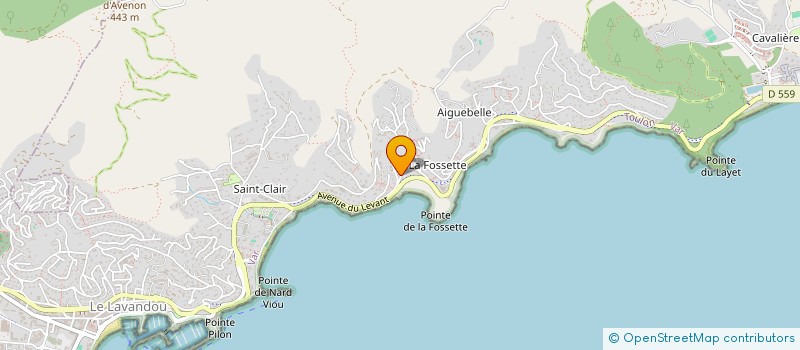 localisation de l'entreprise MONSIEUR THIBAULT PIAT  LE LAVANDOU