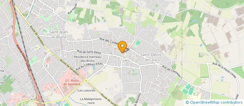 localisation de l'entreprise MONSIEUR THIBAULT RAUDIN à SAINT-DENIS-EN-VAL