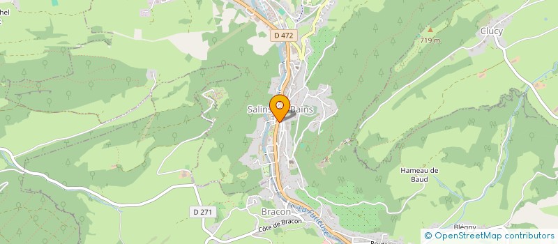 localisation de l'entreprise MONSIEUR THIBAULT ROYER  SALINS-LES-BAINS