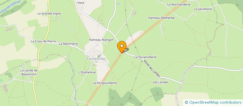 localisation de l'entreprise MONSIEUR THIBAUT ALLIX DESFAUTEAUX  TAMERVILLE