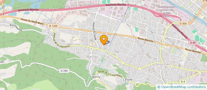 localisation de l'entreprise MONSIEUR THIBAUT BESSMER  MARNAZ