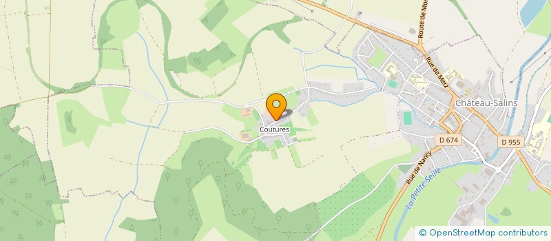 localisation de l'entreprise MONSIEUR THIBAUT COLLIN  SALONNES