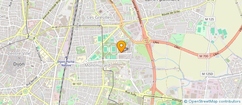 localisation de l'entreprise MONSIEUR THIBAUT DE MICHELI  DIJON