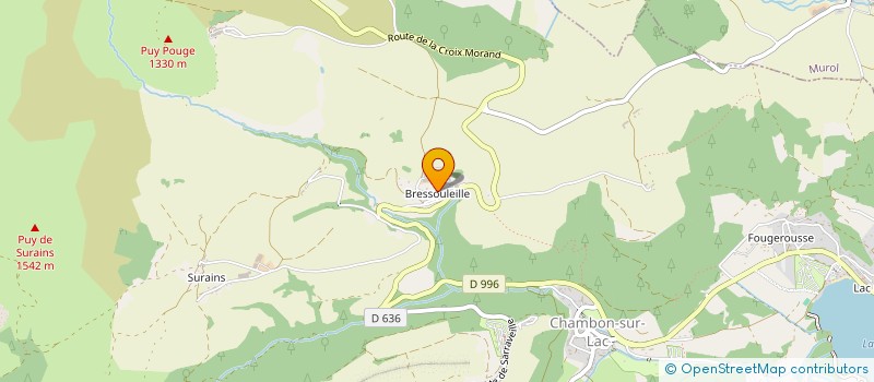 localisation de l'entreprise MONSIEUR THIBAUT DELAIGUE  SAINT-VICTOR-LA-RIVIERE