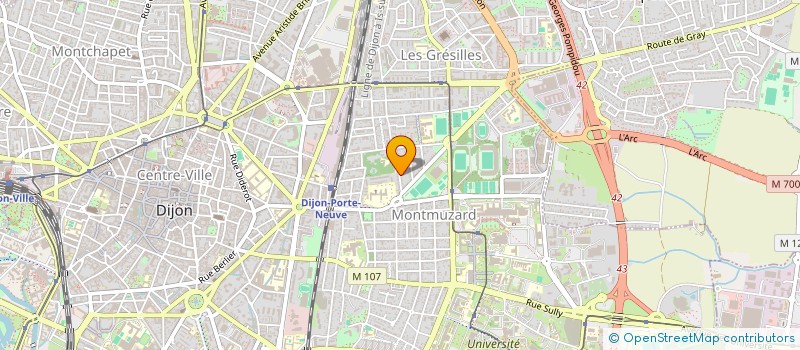 localisation de l'entreprise MONSIEUR THIBAUT DEQUEKER à DIJON