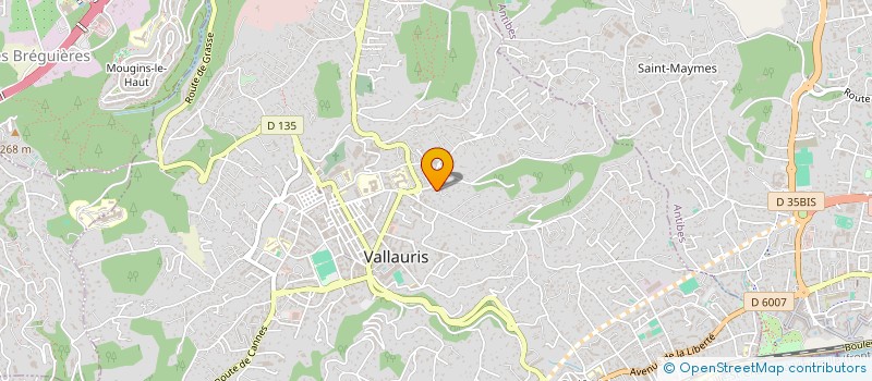 localisation de l'entreprise MONSIEUR THIBAUT DEVILLE  VALLAURIS