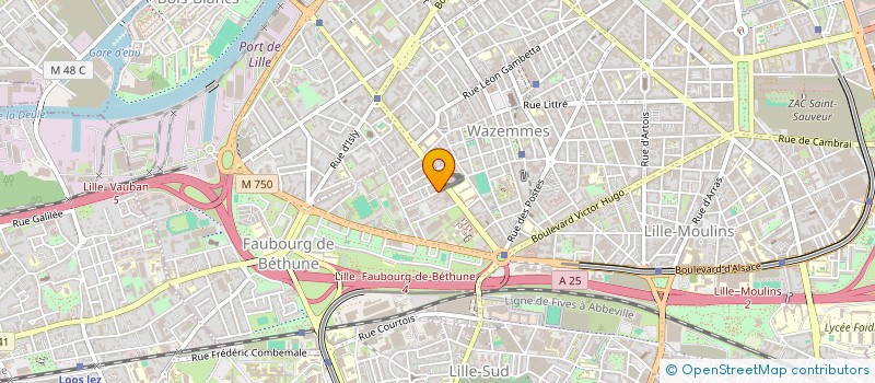 localisation de l'entreprise MONSIEUR THIBAUT PECQUERIE à LILLE