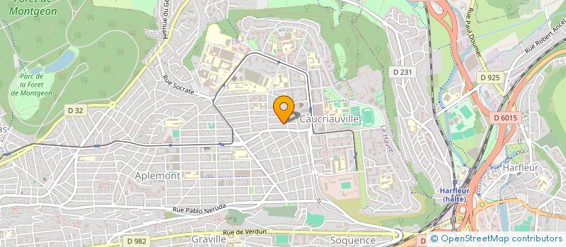 localisation de l'entreprise MONSIEUR THIBAUT SQUIVEE  LE HAVRE