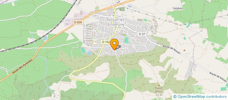 localisation de l'entreprise MONSIEUR THIBAUT TISSEYRE  NISSAN-LEZ-ENSERUNE