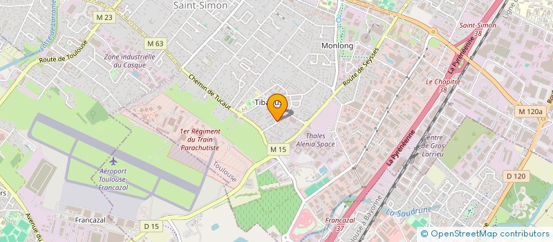 localisation de l'entreprise MONSIEUR THIBAUT VIARNES  TOULOUSE