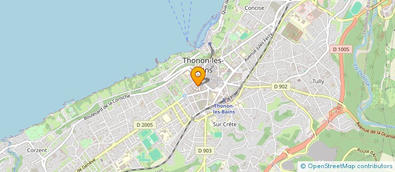 localisation de l'entreprise MONSIEUR THIERNO DIALLO à THONON-LES-BAINS