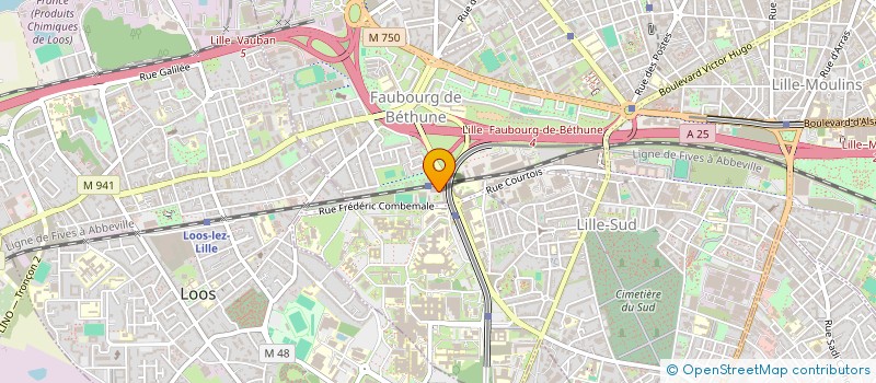 localisation de l'entreprise MONSIEUR THIERNO DIALLO à LILLE