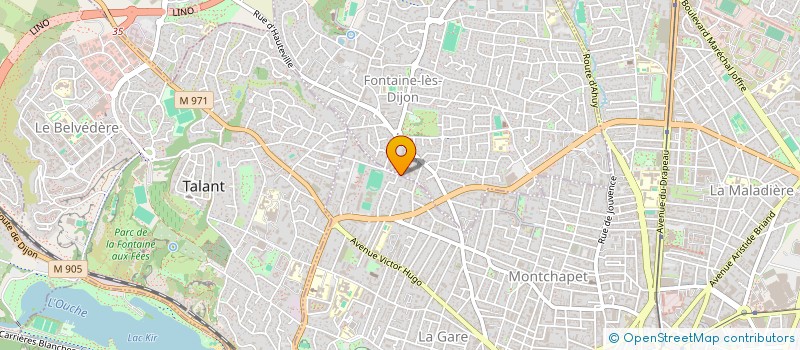 localisation de l'entreprise MONSIEUR THIERNO JALLOH  FONTAINE-LES-DIJON