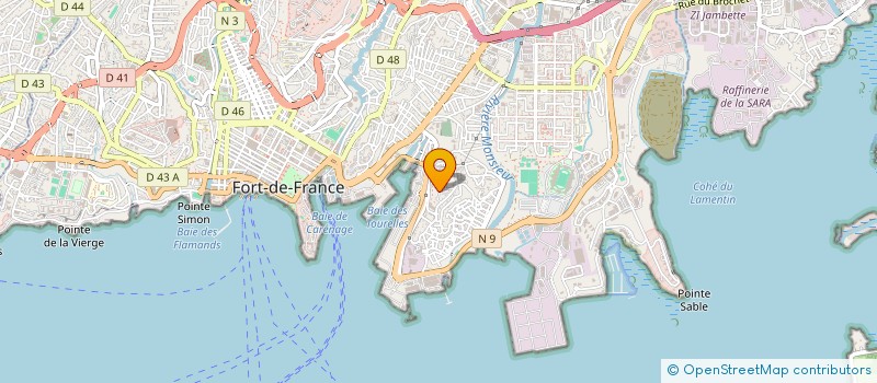 localisation de l'entreprise MONSIEUR THIERRY AGRICOLE  FORT-DE-FRANCE