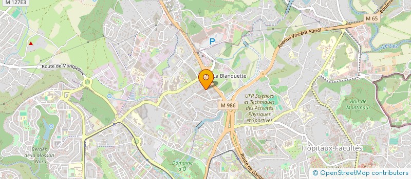 localisation de l'entreprise MONSIEUR THIERRY ALVES PELLISSIER à MONTPELLIER