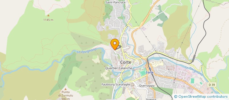 localisation de l'entreprise MONSIEUR THIERRY AMBROISE à CORTE