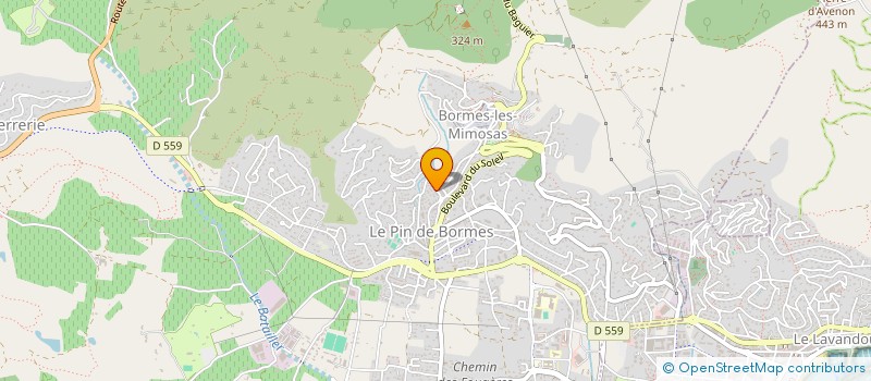 localisation de l'entreprise MONSIEUR THIERRY BEAUVAIS à BORMES-LES-MIMOSAS